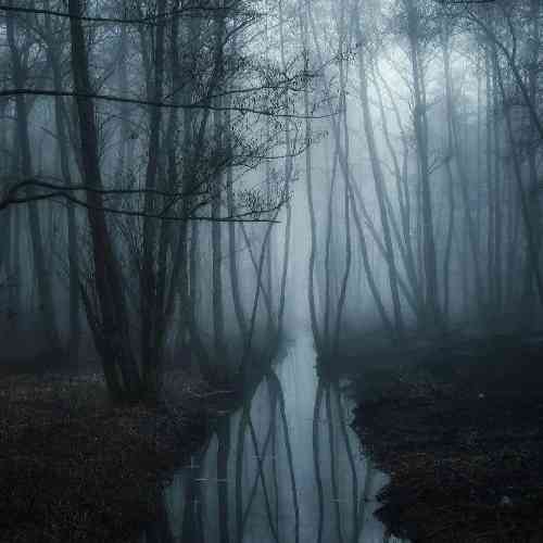 علی صفری راه میری عشوه میری تو این پا اون